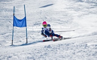 FB体育官网-乌迪内斯：攻强守稳取胜关键，创造连胜良好氛围，乌迪内斯实力