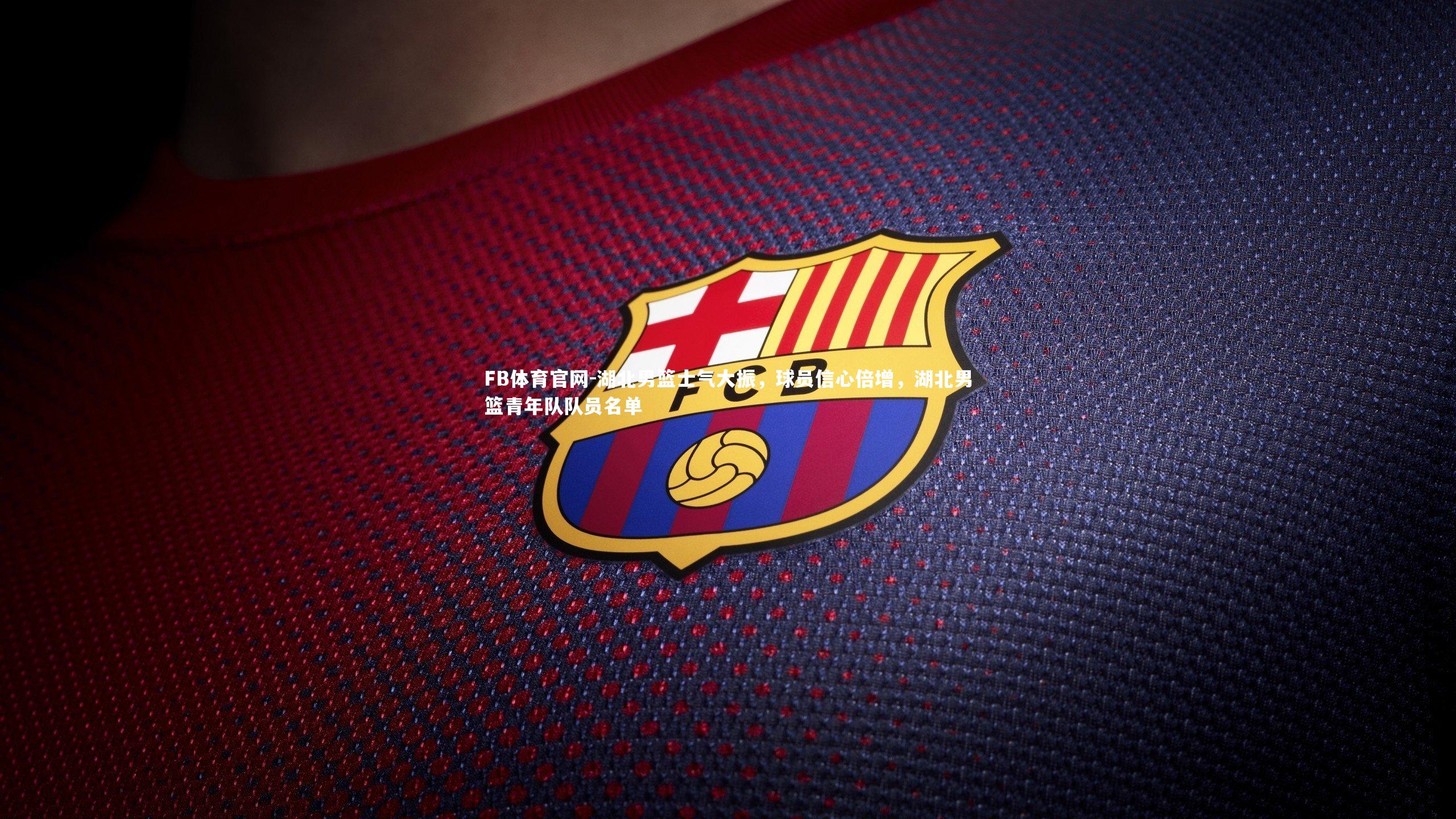FB体育官网-湖北男篮士气大振，球员信心倍增，湖北男篮青年队队员名单-第1张图片-FB体育官网