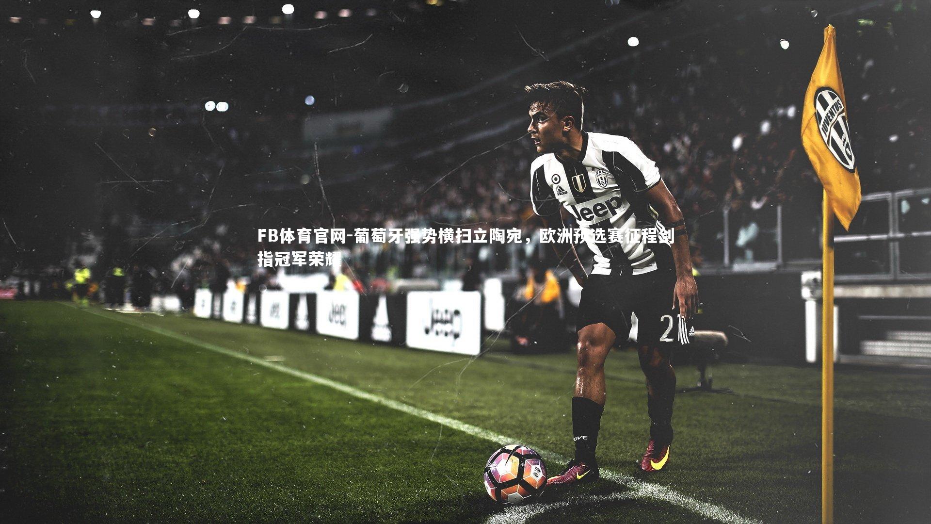 FB体育官网-葡萄牙强势横扫立陶宛，欧洲预选赛征程剑指冠军荣耀-第2张图片-FB体育官网